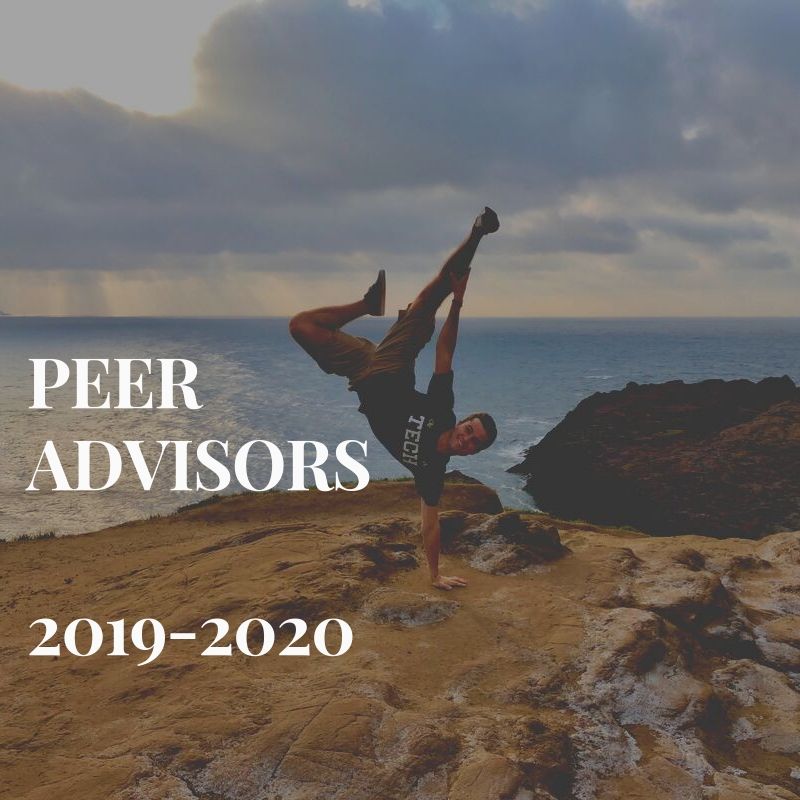 Peer Advisors