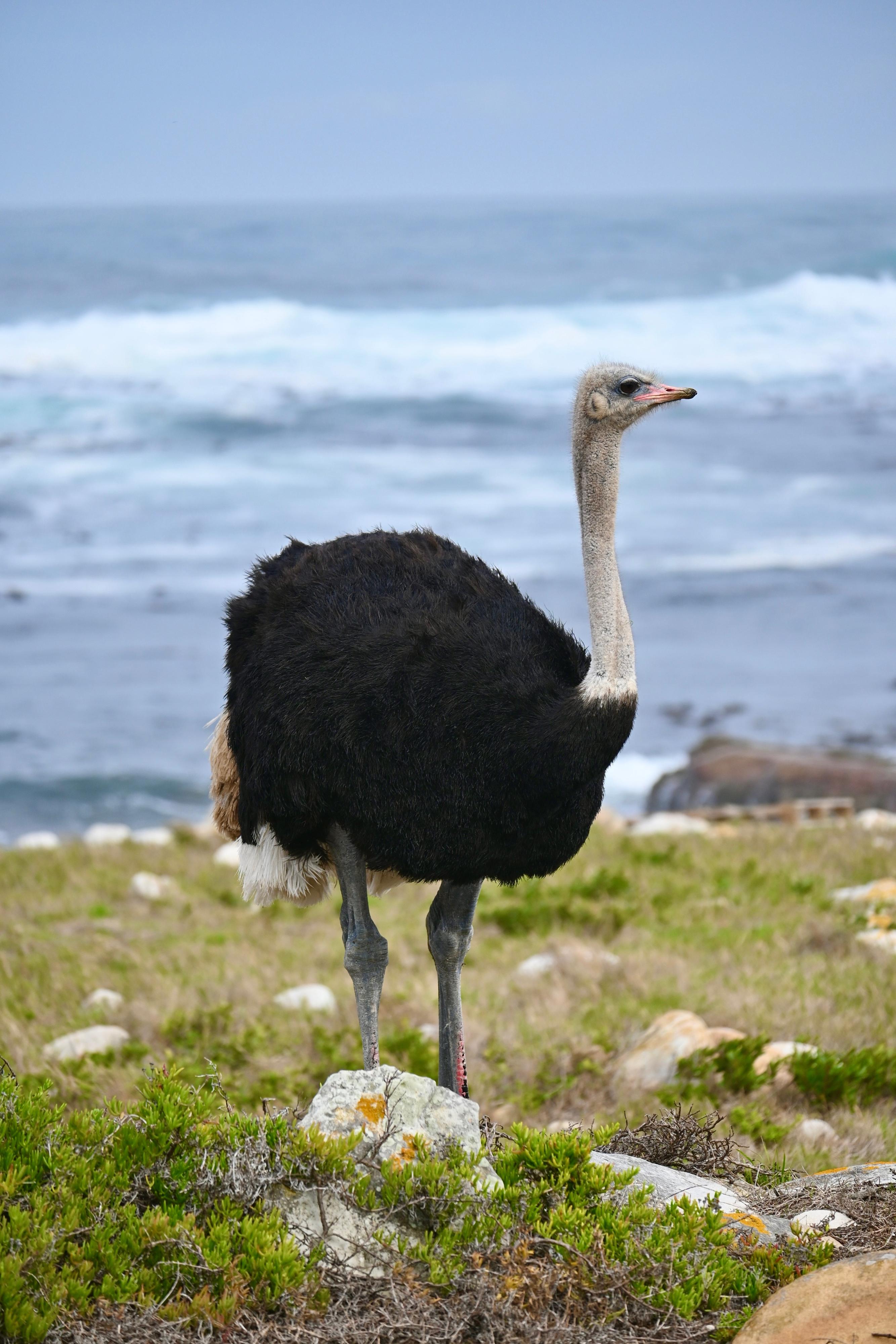 Eileen Brook- Landscape
