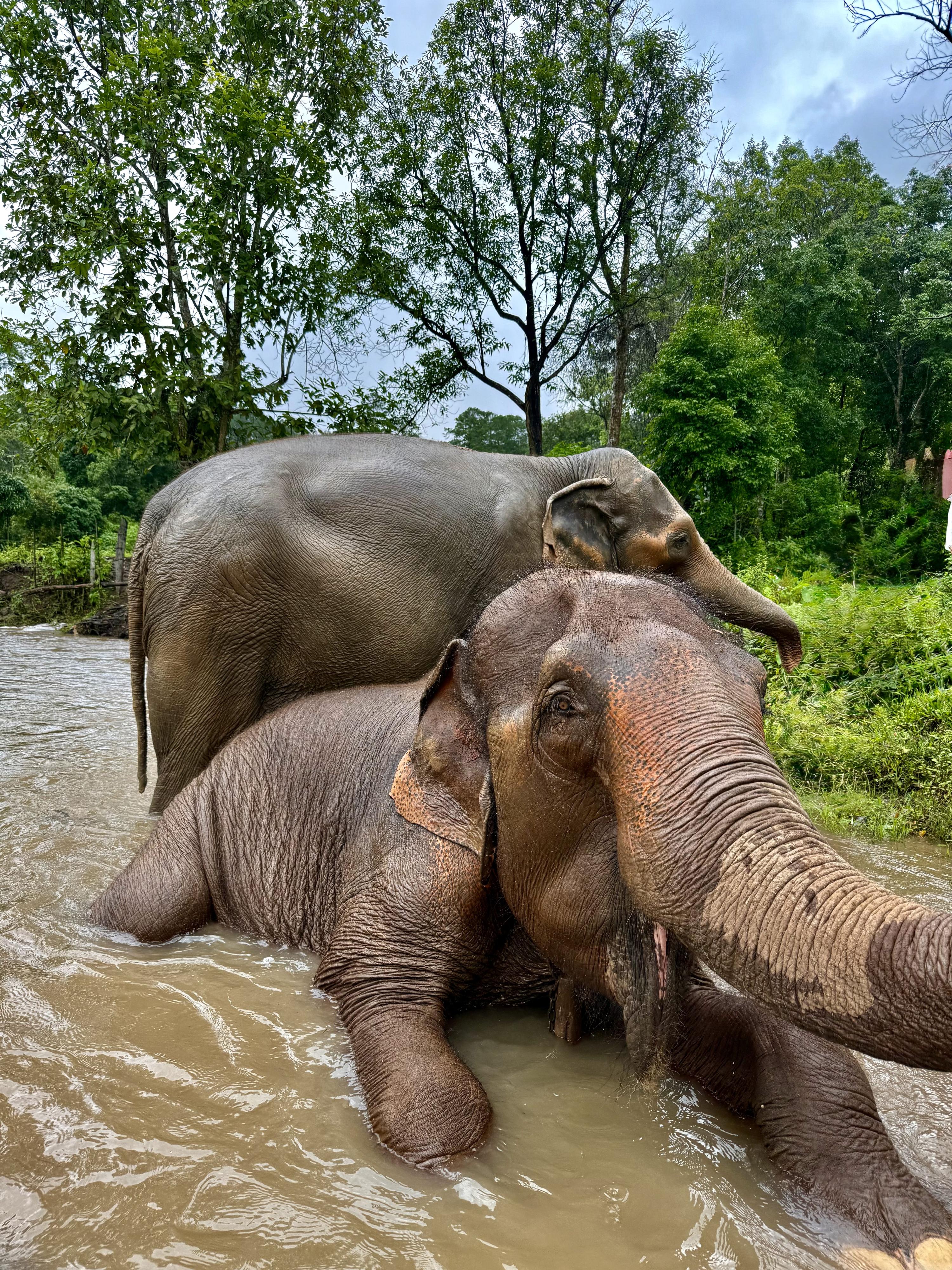 Natalia Celis- Highlight