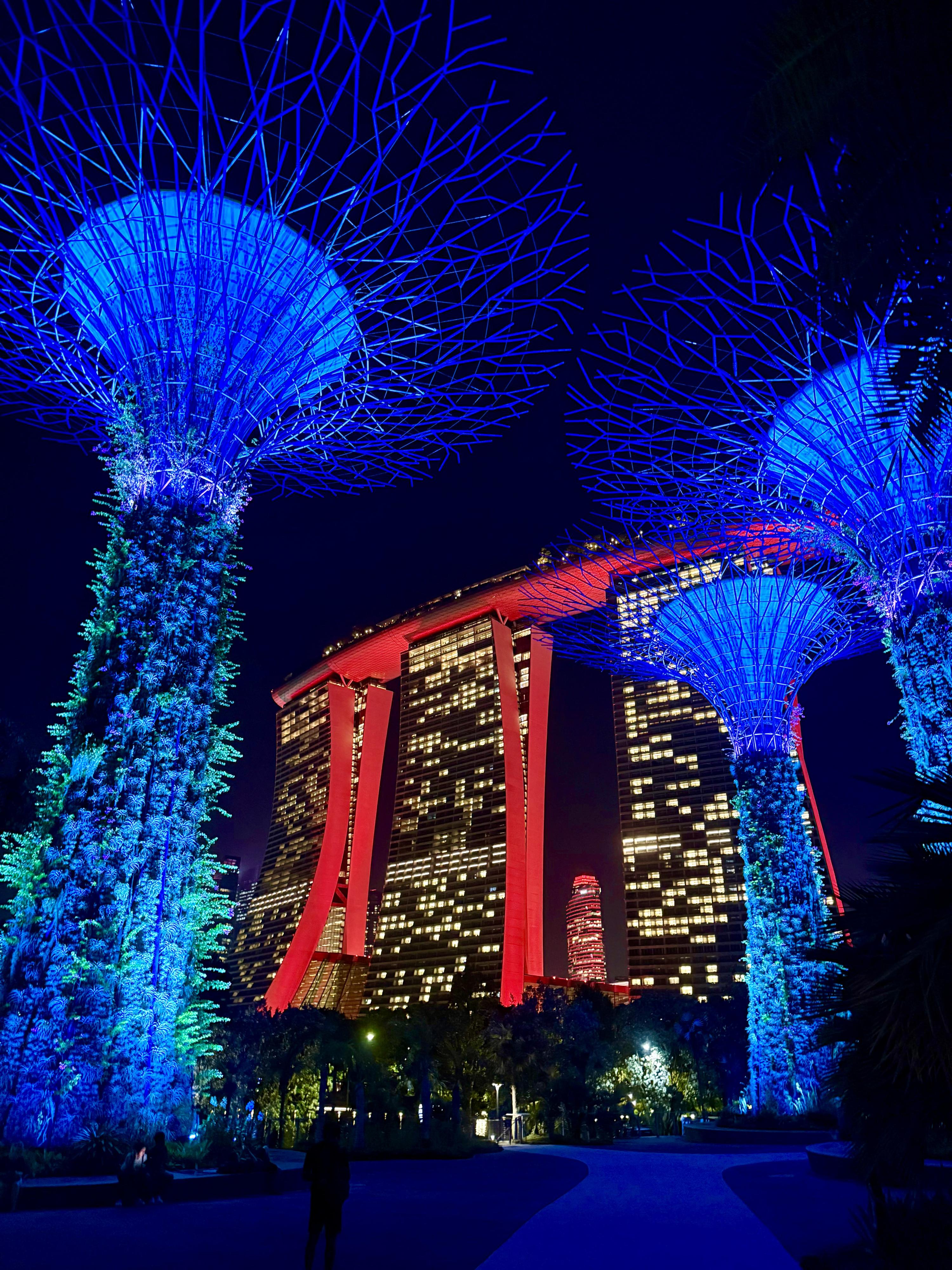 Night photo of Gardens by the Bay with Marina Bay Sands in the background. 