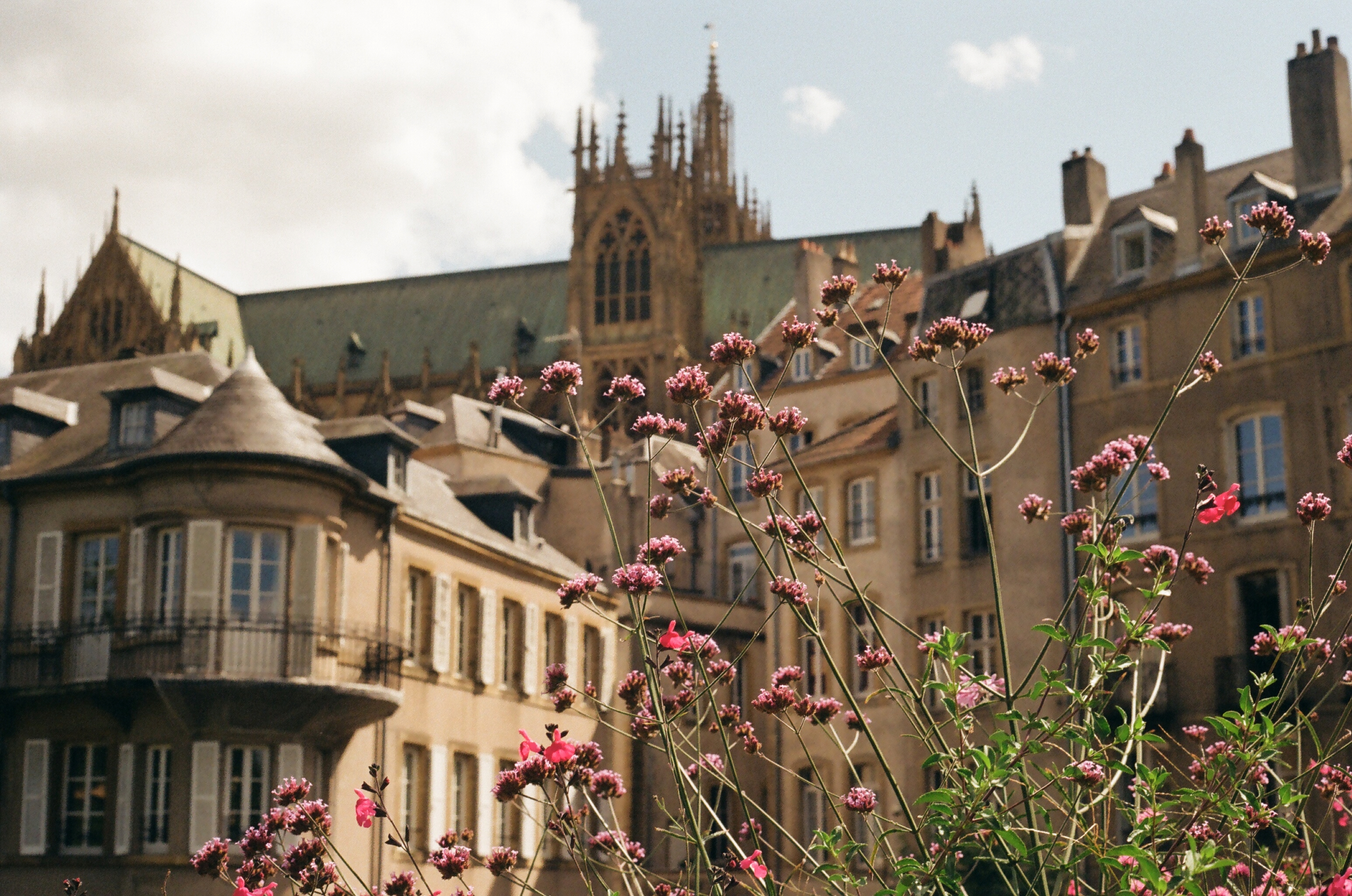 Flowers in front of the gothic Cathédrale Saint-Étienne de Metz.
