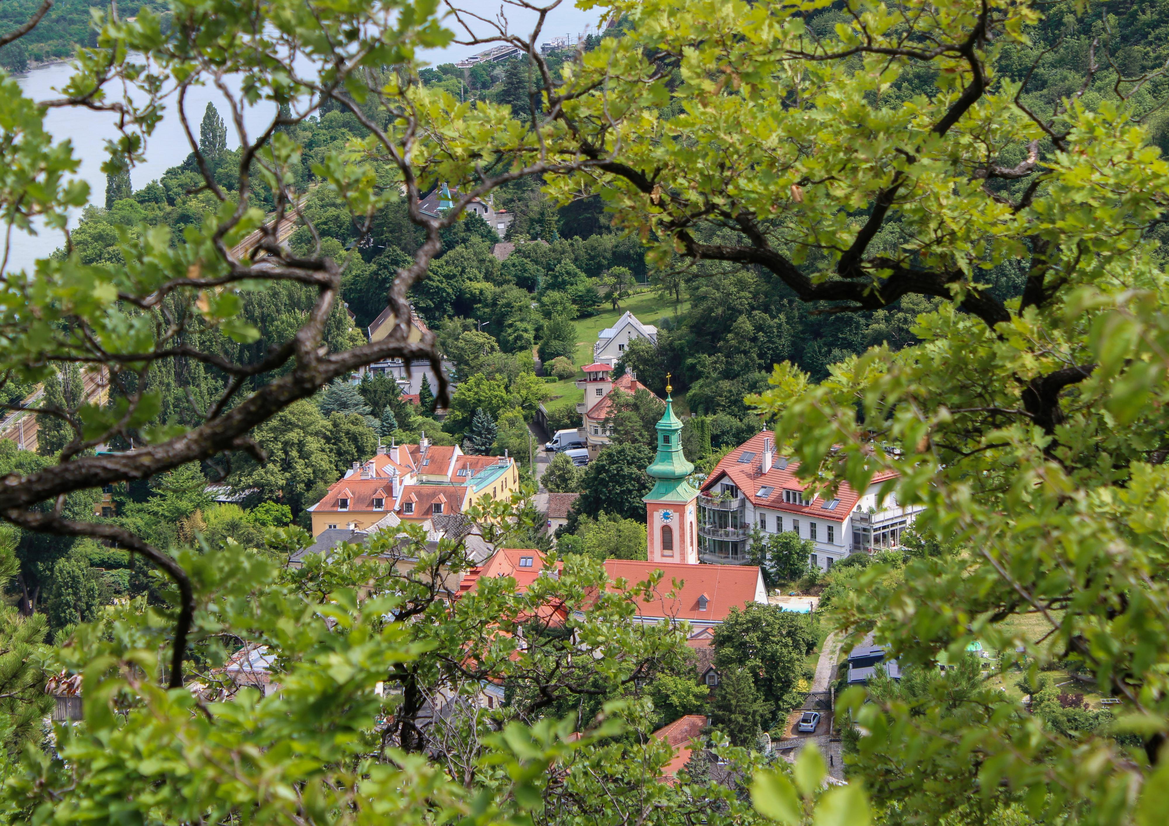 Claire Walsh- Landscape